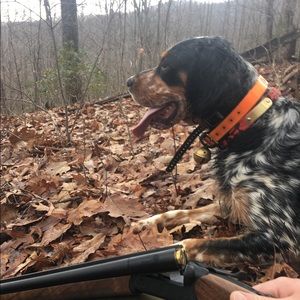 Meet your Posher, Austin